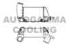 ALFA 60538580 Intercooler, charger